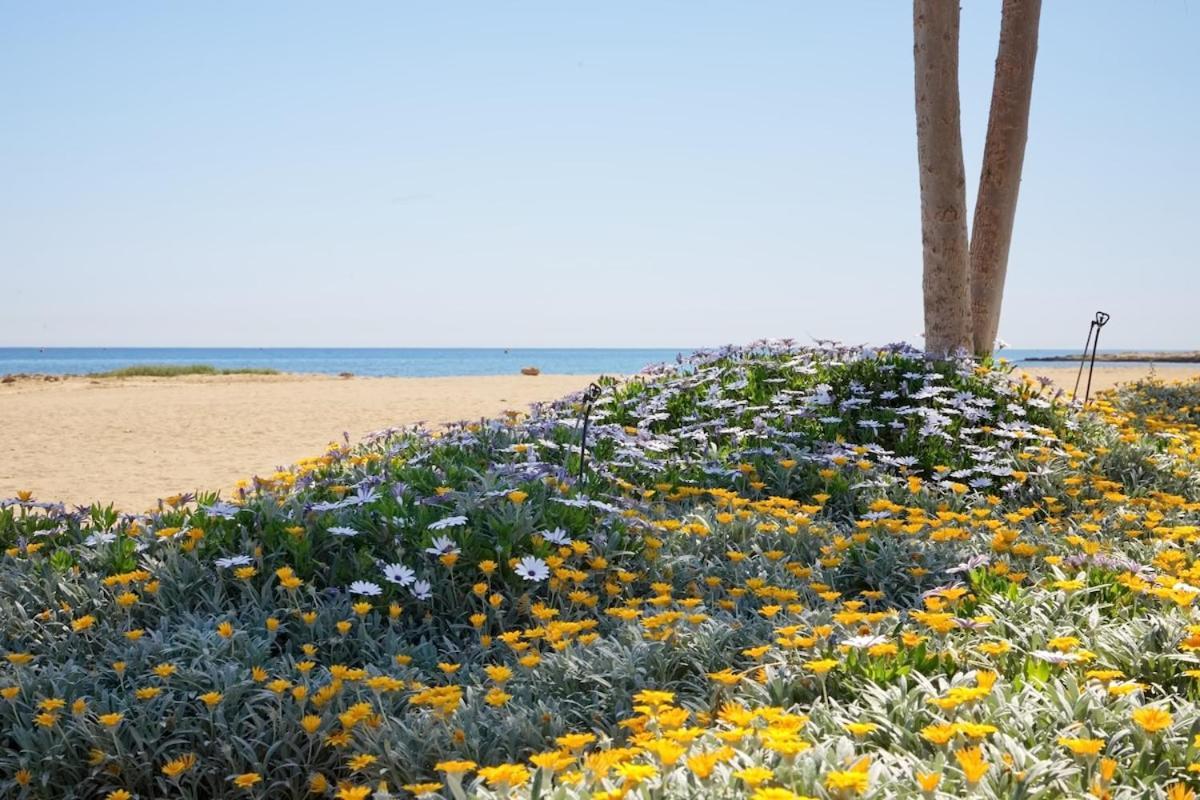 Seaview Luxury Villa Jacuzzi & Pool! 2 Min Beach بروتاراس المظهر الخارجي الصورة